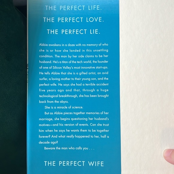 The Perfect Wife novel by JP Delaney - Picture 2 of 3